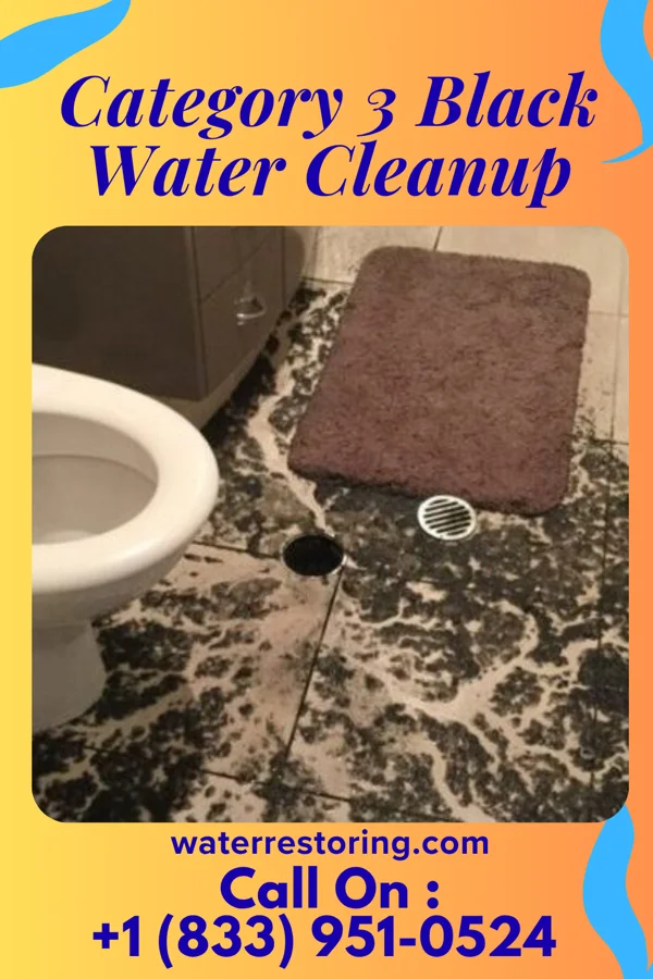 Category 3 Black Water Cleanup in Zillah, WA